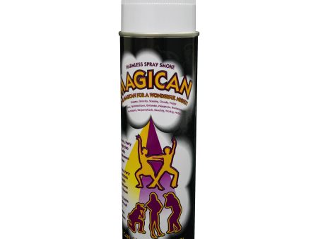 Antari MG-550 Magician Long Lasting Haze in a Can For Cheap